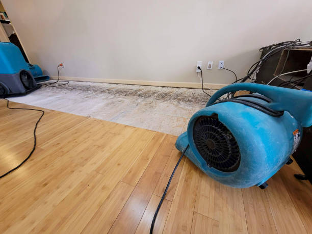 Professional Structural Drying technician working in Lunenburg, MA